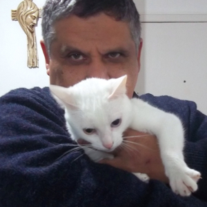 Foto de perfil de Raimundo Cesar P da Rocha