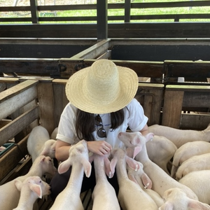 Foto de perfil de Beatriz M.