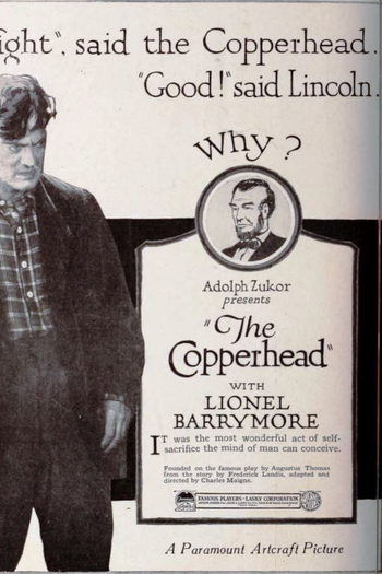 Poster de Filme The Copperhead (1920)