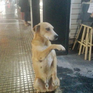 Foto de perfil de guérassimi