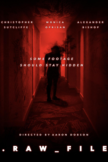 Poster de Filme Raw File (2025)