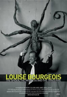 Louise Bourgeois: A Aranha, a Amante e a Tangerina