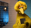 Big Bird