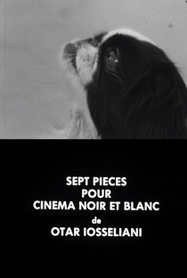 Sete fragmentos para um filme em preto e branco - Poster / Capa / Cartaz - Oficial 1