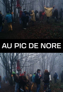 Au Pic De Nore (Au Pic De Nore)