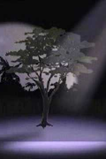 A Lenda da Árvore Sagrada (A Lenda da Árvore Sagrada)