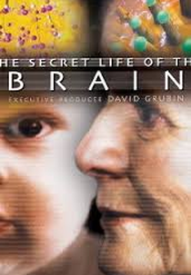 The Secret Life of the Brain (The Secret Life of the Brain)