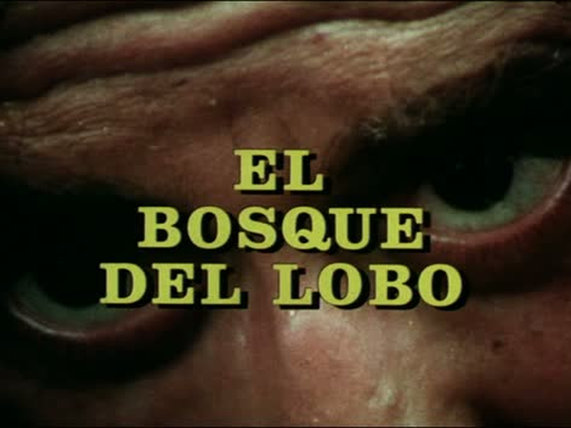 Foto 10 de El bosque del lobo