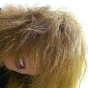 Foto de perfil de galaxytripper