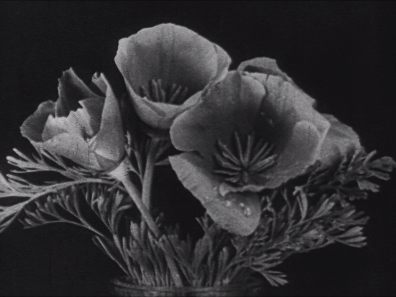 Foto 3 de Just Ancient Loops