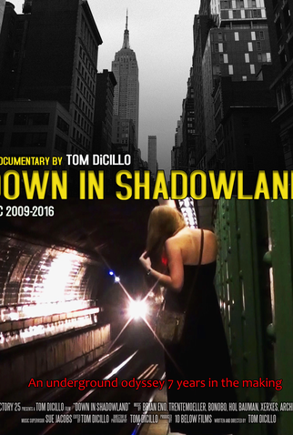 Poster 1 de Filme Down in Shadowland (2014)