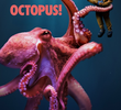Octopus!