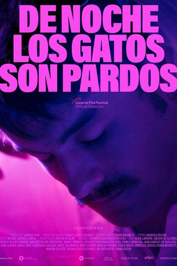 Poster de Filme À noite todos os gatos são pardos (2022)