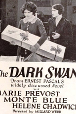 Amor Sincero e Leviano (The Dark Swan)