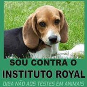 Foto de perfil de Flávia