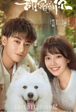 Poster 1 de Série Loving You (2023)