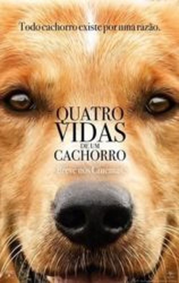 Crítica: Quatro Vidas de um Cachorro (“A Dog’s Purpose”) | CineCríticas