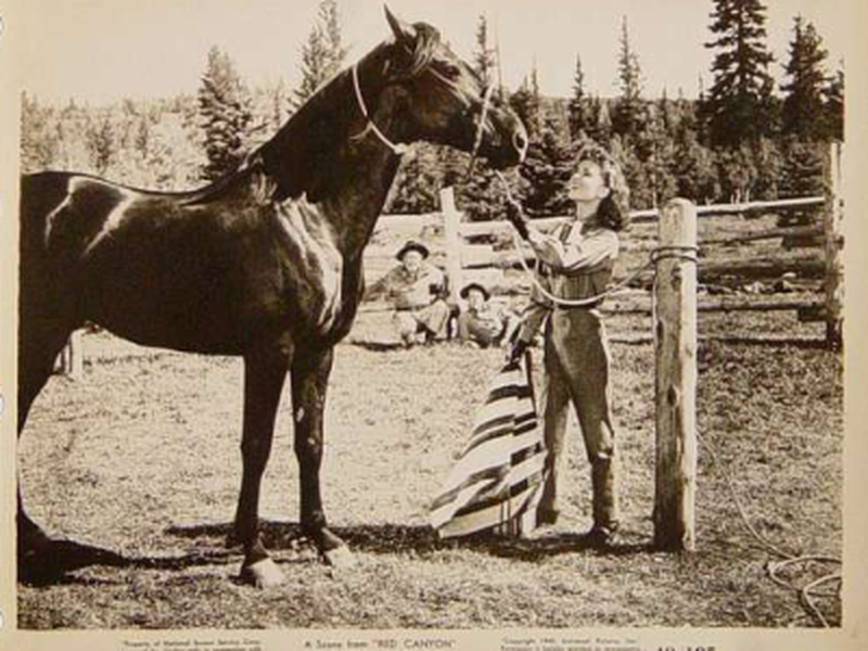 Foto 1 de Escrava do Ódio