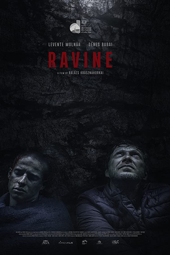 Poster de Filme Ravina (2020)