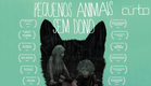 PEQUENOS ANIMAIS SEM DONO (UFF, 2016) | Curta-metragem