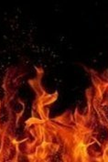 Você não tem nada (Você não tem nada)