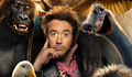 Assista ao PRIMEIRO TRAILER de Dolittle com Robert Downey Jr.