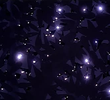 Giant Beastman's Lullaby