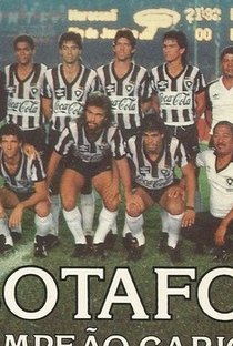 Botafogo - Campeão Invicto 89 - Poster / Capa / Cartaz - Oficial 2