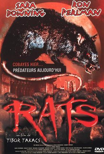 Ratos - Poster / Capa / Cartaz - Oficial 2