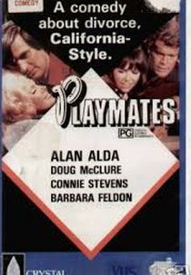 Os Divorciados (Playmates)