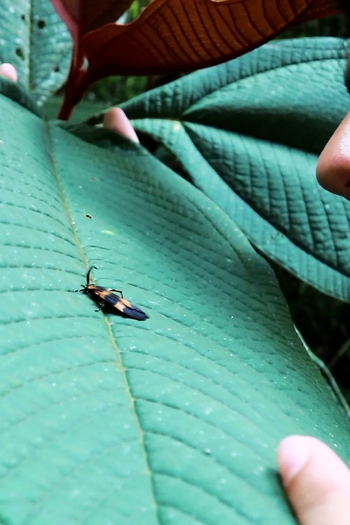  de Curta Fluxo (2019)