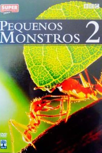 Poster de Filme Pequenos Monstros - Disco 2 (2005)