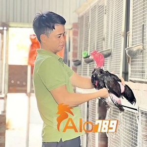 Foto de perfil de nguyenhuucanh