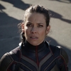 Evangeline Lilly lembrou de lost ao ler roteiro de Vingadores 4