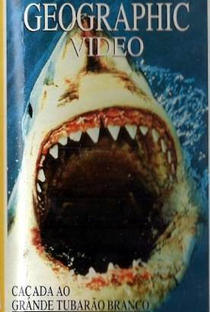 National Geographic: Caçada ao Grande Tubarão Branco - Poster / Capa / Cartaz - Oficial 1