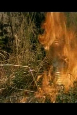 Scherzare col fuoco (Scherzare col fuoco)