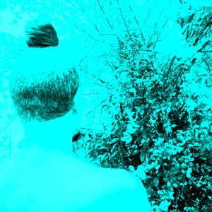 Foto de perfil de William Reis