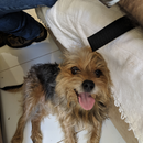 Foto de perfil de Leandro