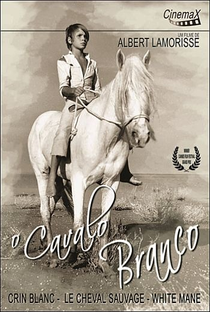 O Cavalo Branco - Poster / Capa / Cartaz - Oficial 5