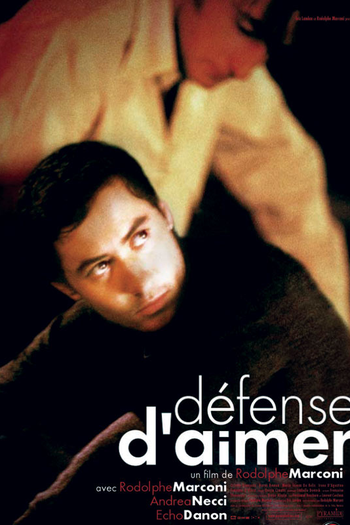 Poster de Filme Défense d'aimer (2002)