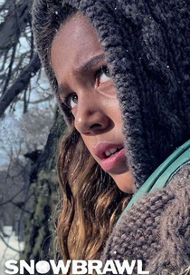 Snowbrawl (Snowbrawl)