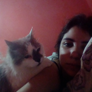 Foto de perfil de Lary