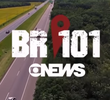 BR-101: Uma Rodovia de Muitos "Brasis"