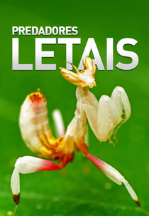Predadores Letais (Predadores Letais)