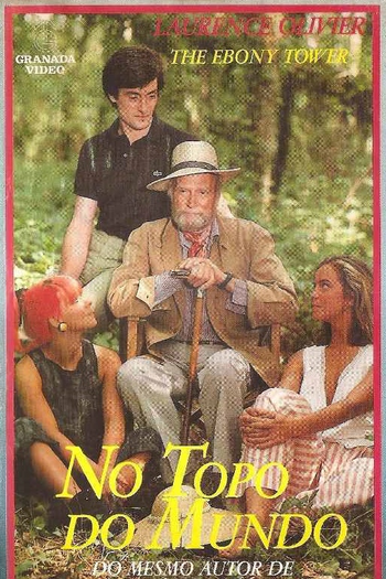 Poster de Filme No Topo do Mundo (1984)