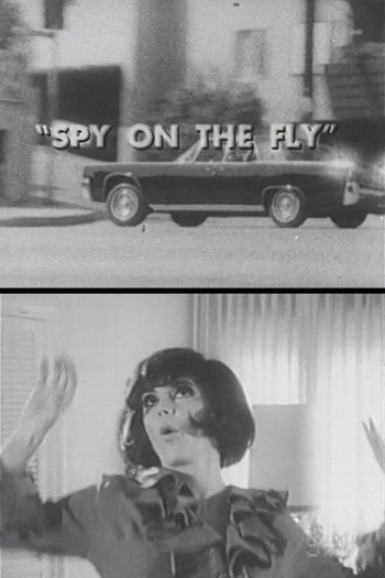 Poster de Curta Spy on the Fly (1967)
