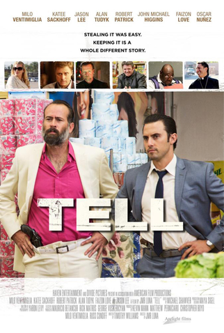 Poster 3 de Filme Crimes e Trapaças (2014)