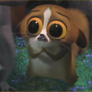 Foto de perfil de Juliana Garcia