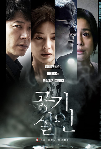 Poster 1 de Filme Assassinato Aéreo (2022)