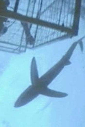 Poster de Episódio The Cage (2000)